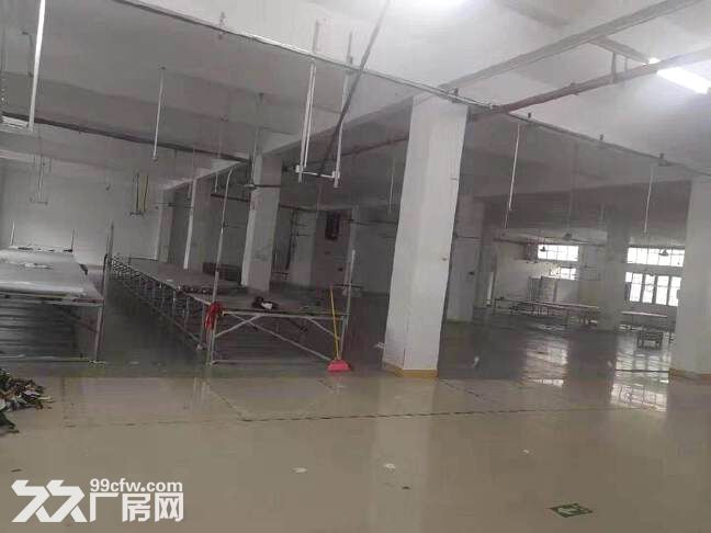 番禺南村服装行业基地，出租标准厂房700方，格局方正，价格便宜 - 2