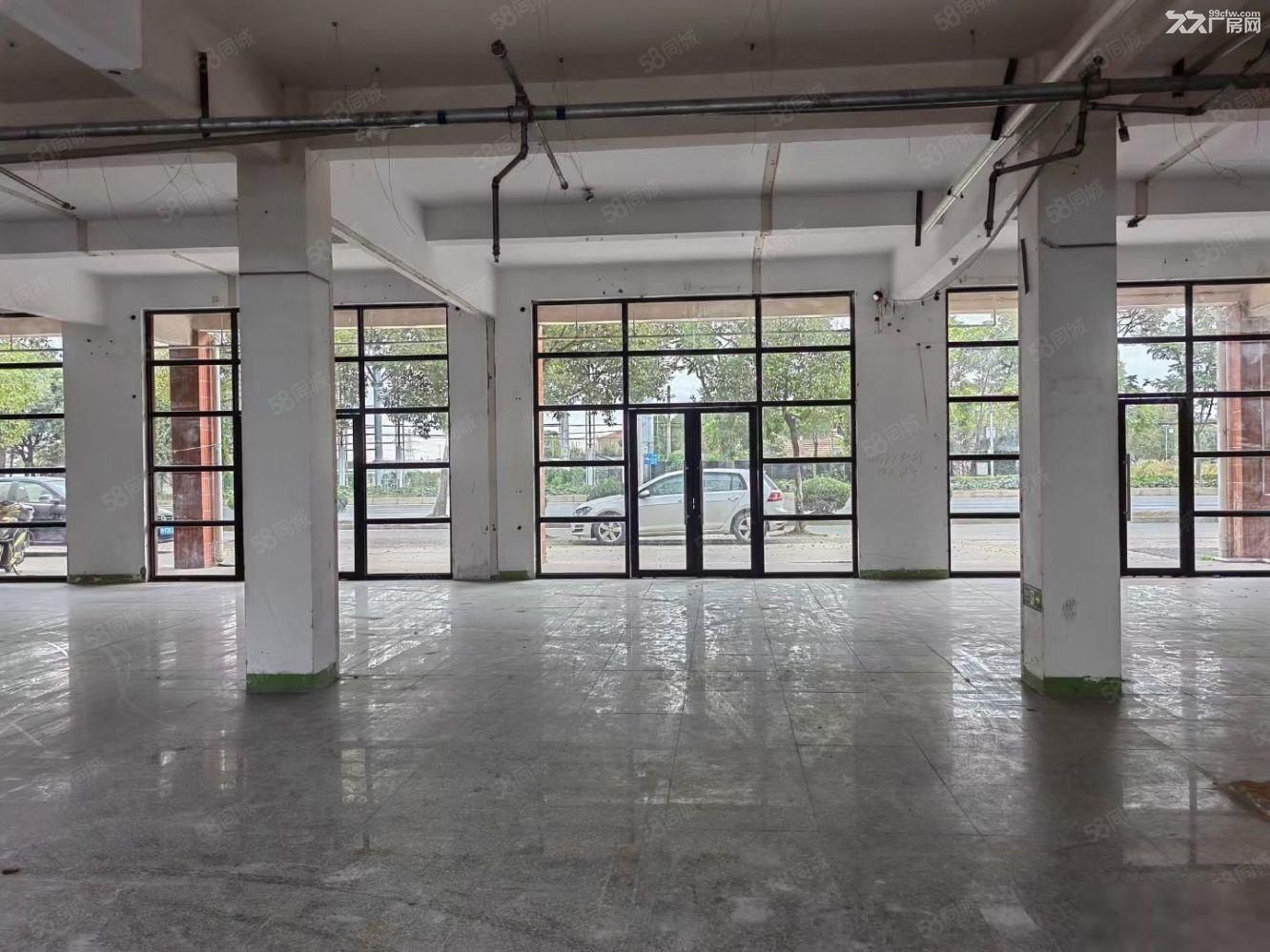 康桥秀沿路独门独院1万平米多层厂房出租,可分割加工,汽修仓储 - 5