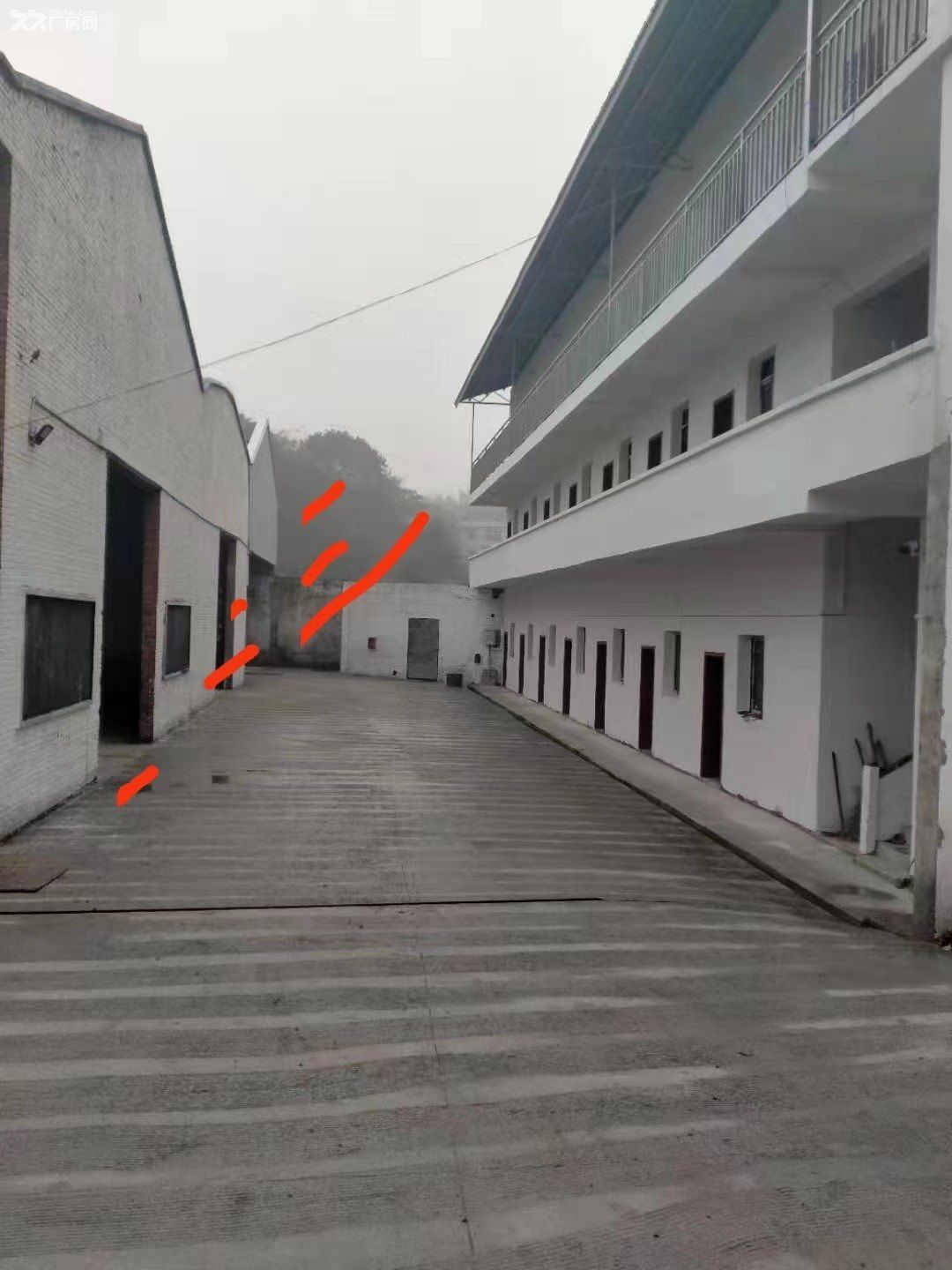 3个各1000平米标准厂房低价出租 - 6