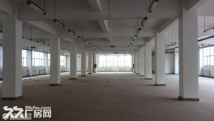 个人.禄口1到3楼6000平米新建标准厂房出租，2000平米/层可分租 - 2