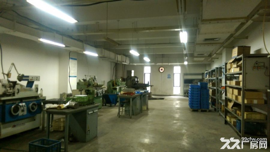核心区一层5000平标准厂房层高15米 - 3