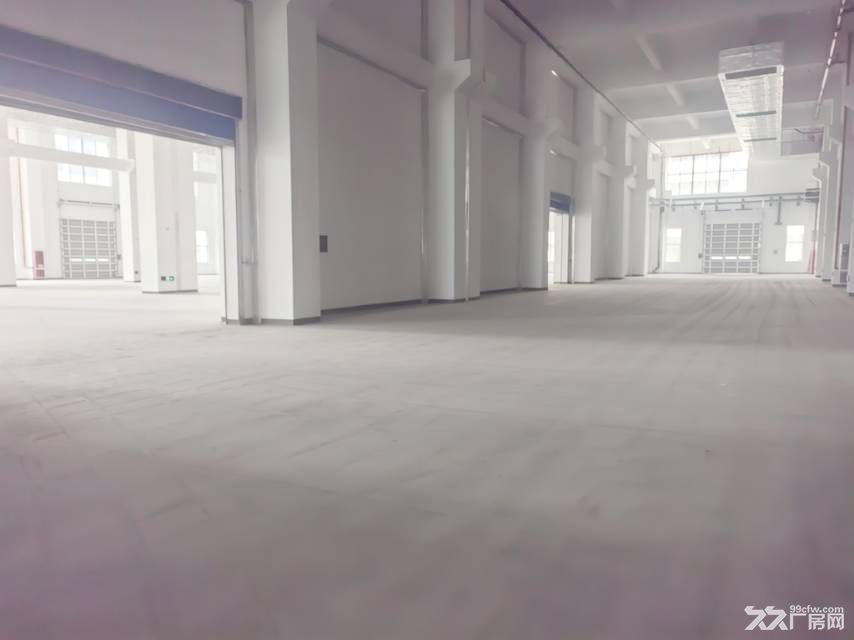 全新国企开发厂房出租，层高11米，非中介