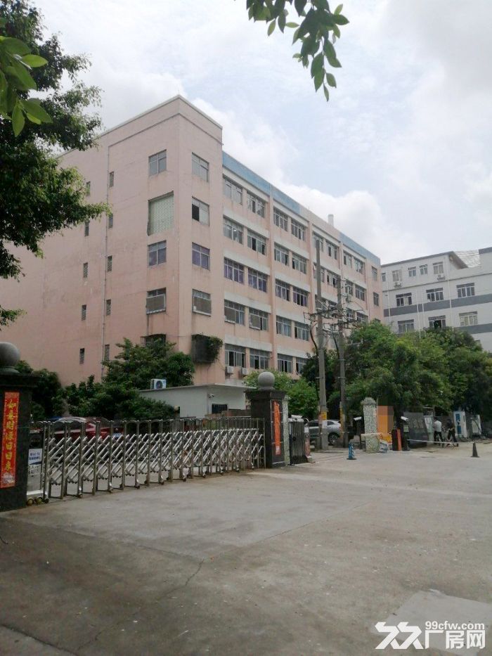 番禺钟村工业园，独院标准厂房1300方整层出租，配套完善，大车可进