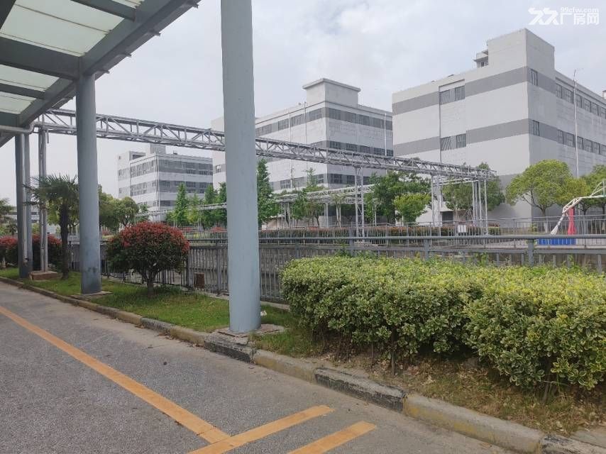 奉贤104地块7万多厂房出租 - 3