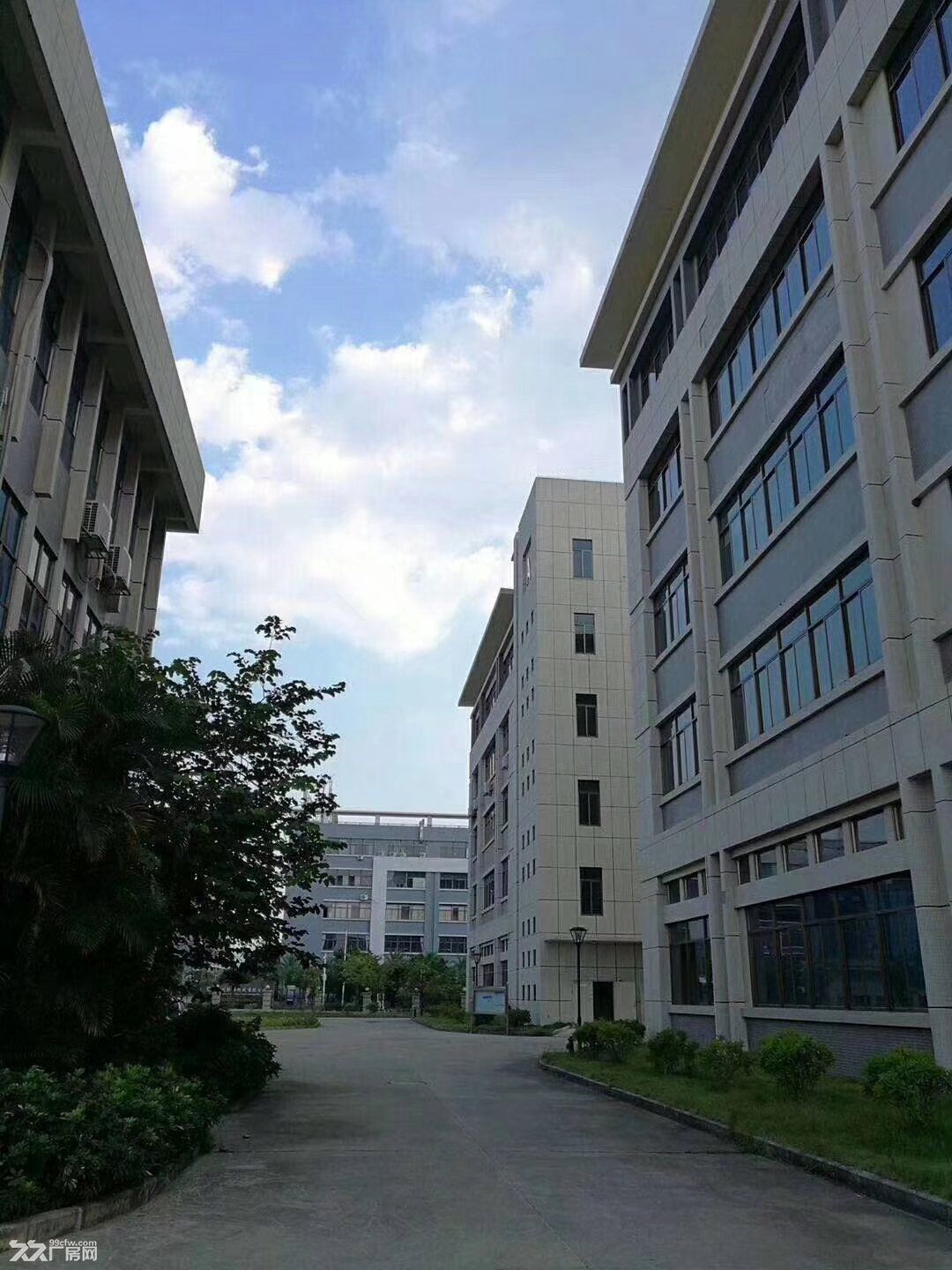 《《合》》水口东江高新区全新标准厂房出租总面积3万平方 - 3