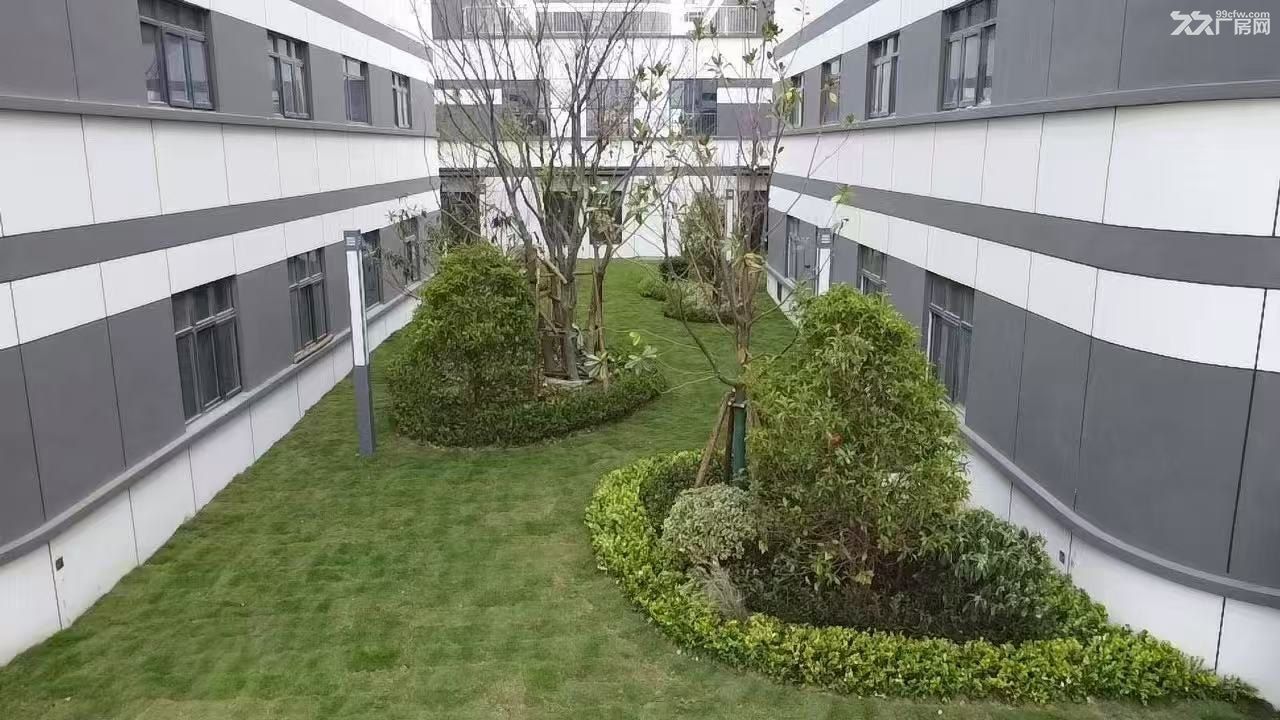 天宁区全新国土工业厂房,可环评可按揭 - 3