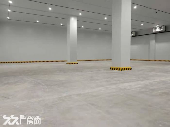 南通 开发区 专业双坡道冷库出租 - 4