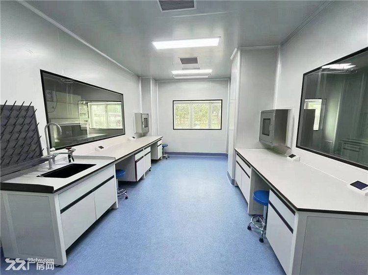 张江药谷核心区《精装P2实验室出租》