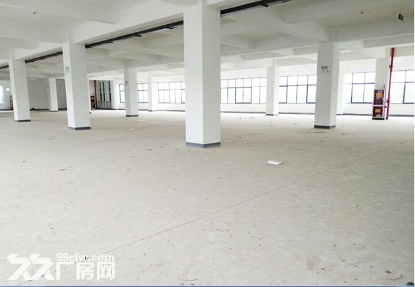 钢结构,框架厂房可租可售 - 5