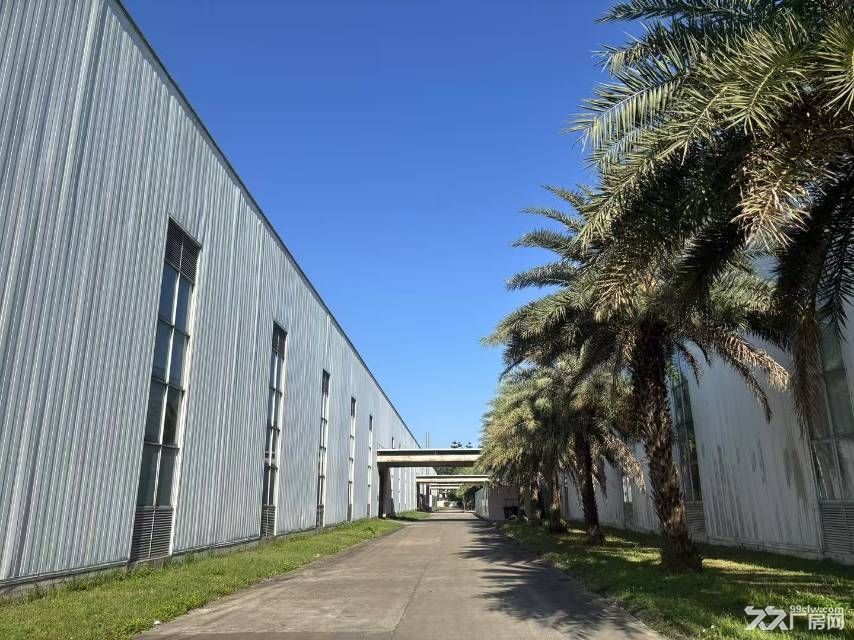 黄埔区知识城层高12米工业厂房出租 - 6