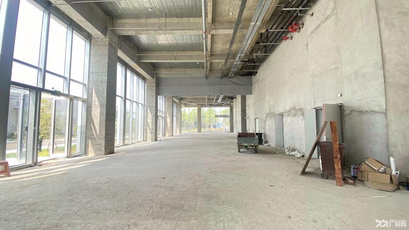 曹路镇 东部湾现代产业园 研发厂房 新材料半导体 - 3