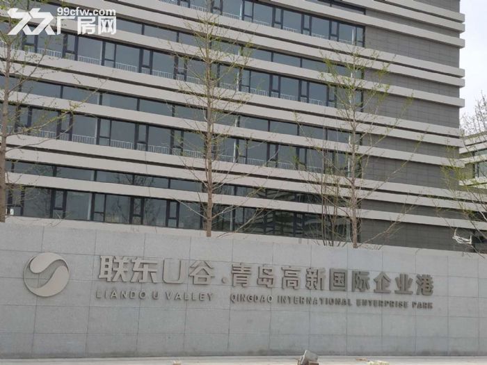 青岛高新区、城阳、胶州、即墨、黄岛区王台标准厂房出售 - 2