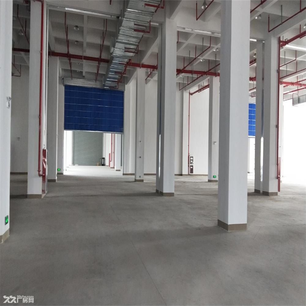 吴江开发区盛泽16亩地出售，建筑面积20000平米 - 5