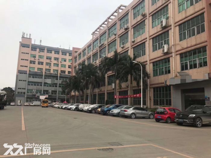公明大型工业园楼上1000平米实际面积出租 - 4