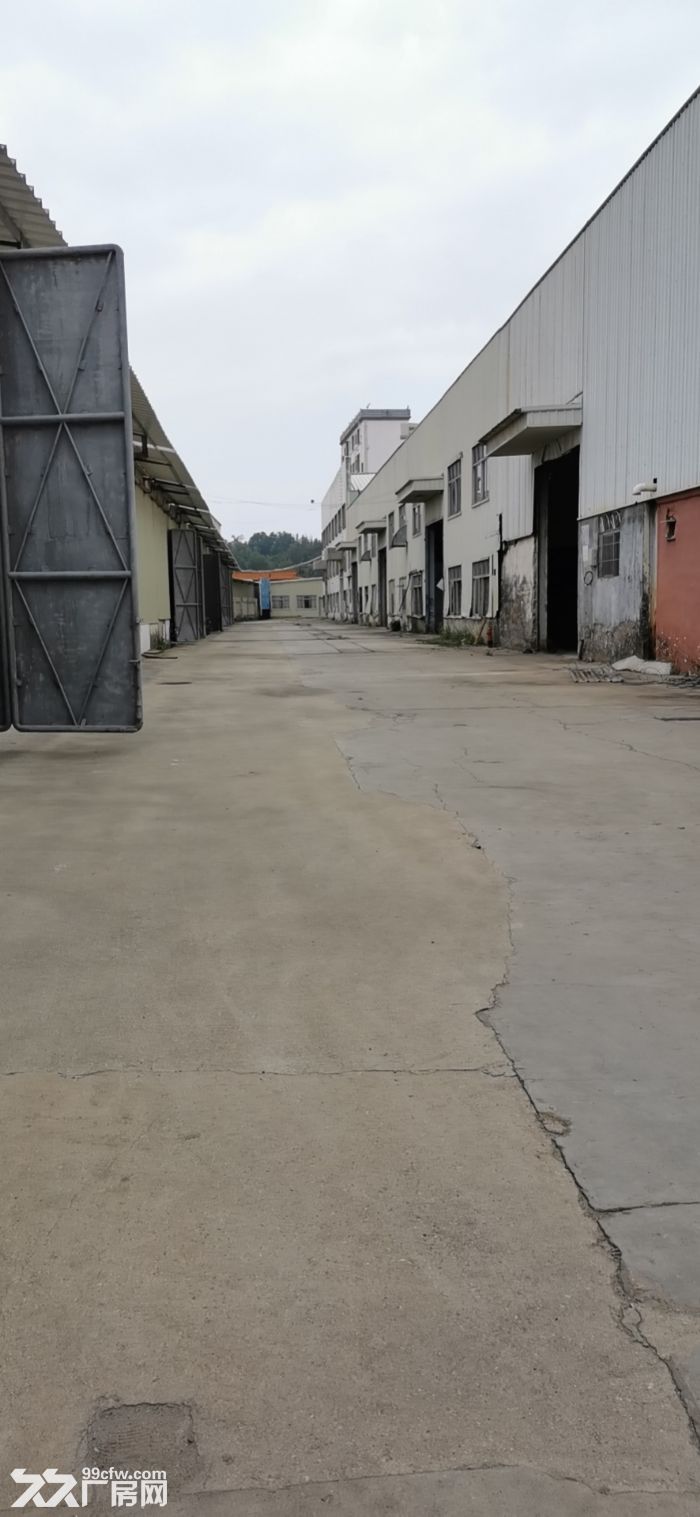 有平台,有行车 空地大,龙华单一层钢构出租4万平 可分租 - 5