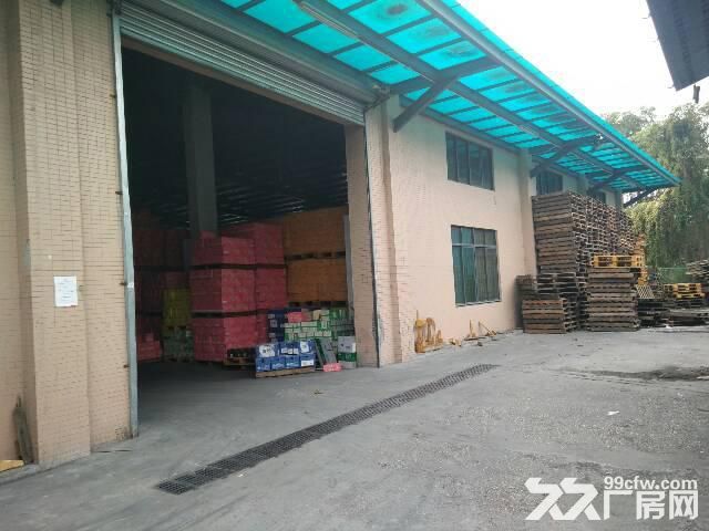 西丽老火车站附近,新出一楼钢构厂房,1000平低价出租,交通便利,空地大