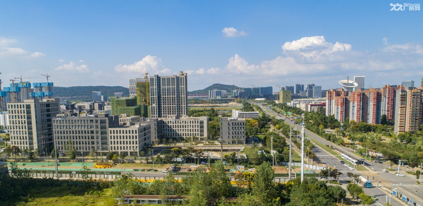 光谷七路优质园区厂房出租