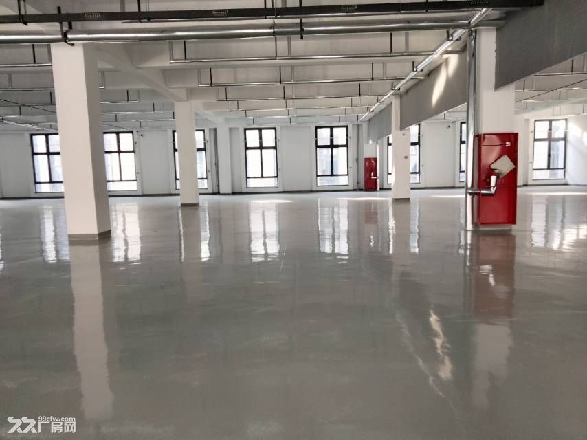 淄博张店联通路厂房高标准 - 2