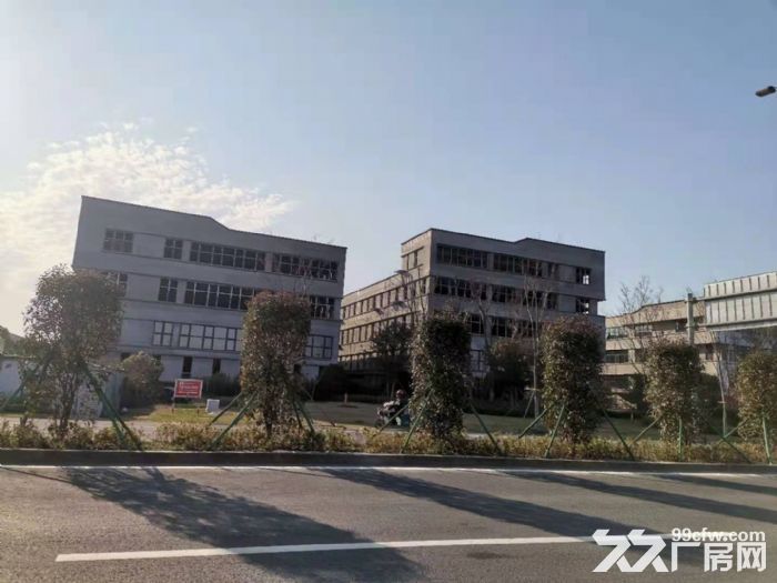 稀缺厂房邻上海厂房出售2124平标准厂房可注可按揭 - 3
