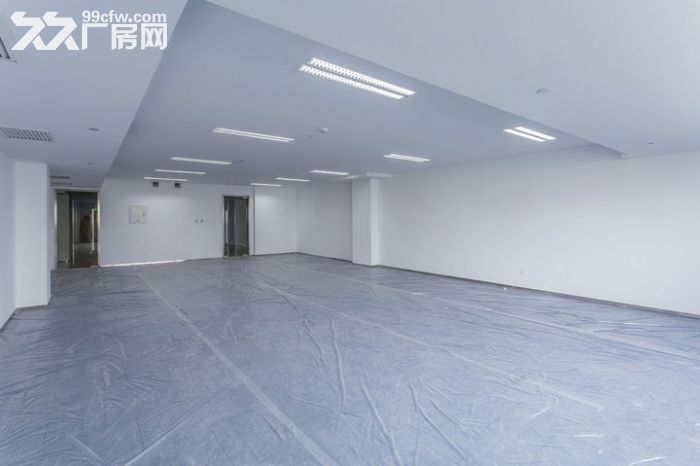 享大张江补贴+扶持、可生物医药实验+有排放指标环评 - 4