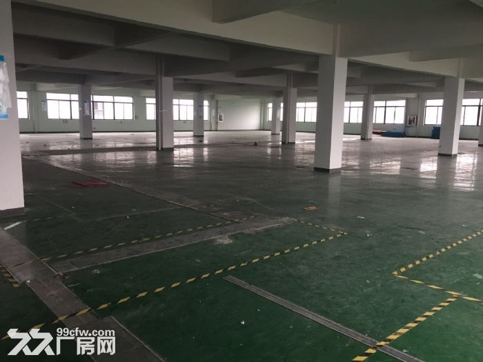 1500方厂房出租 适合淘宝 科技 仓储办公等 - 5
