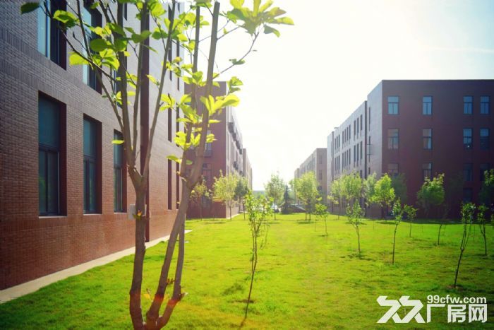 正阳西路,1200−3200平全新标准厂房出售,可办土地证 - 7