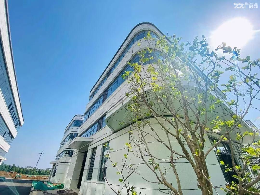 青岛高新区火炬路---3层厂房出租出售 - 5