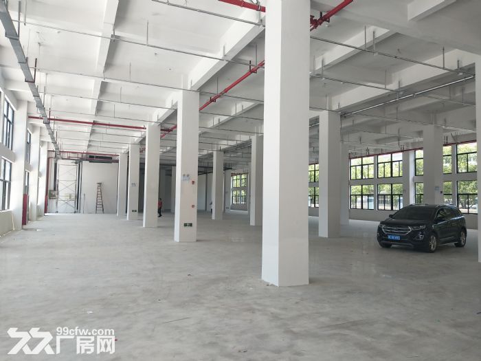 炬光园工业区1楼1200平方 适合各行业入驻 可用 - 7