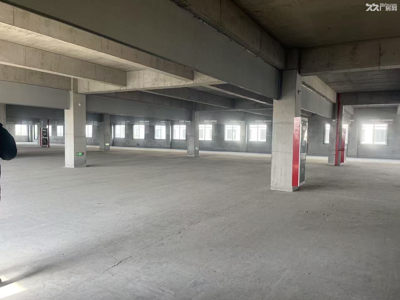 沪江商贸城旁 大平层纯一楼 可租可售 8元起租/月/平 可分割 - 8