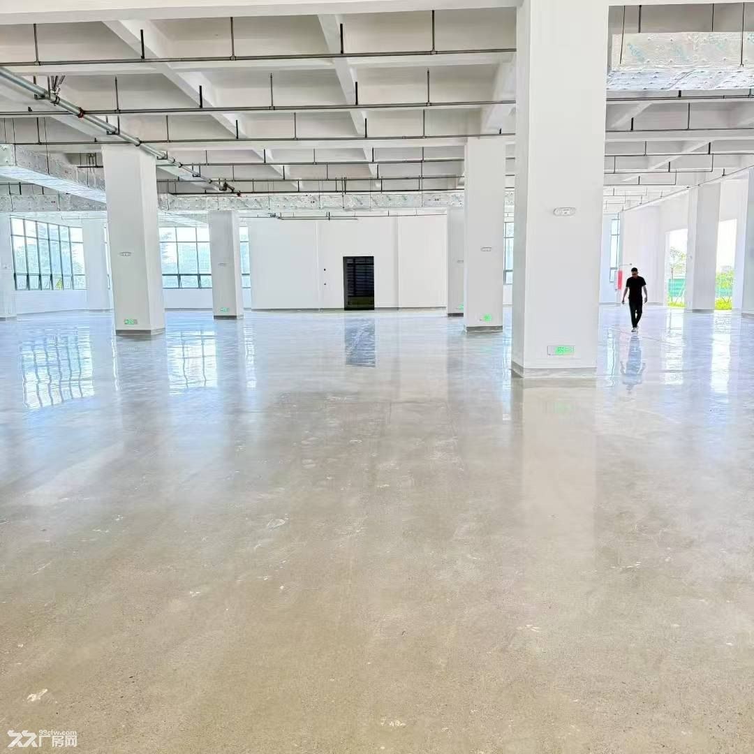 7元/平方,水口原房东高端产业园招商