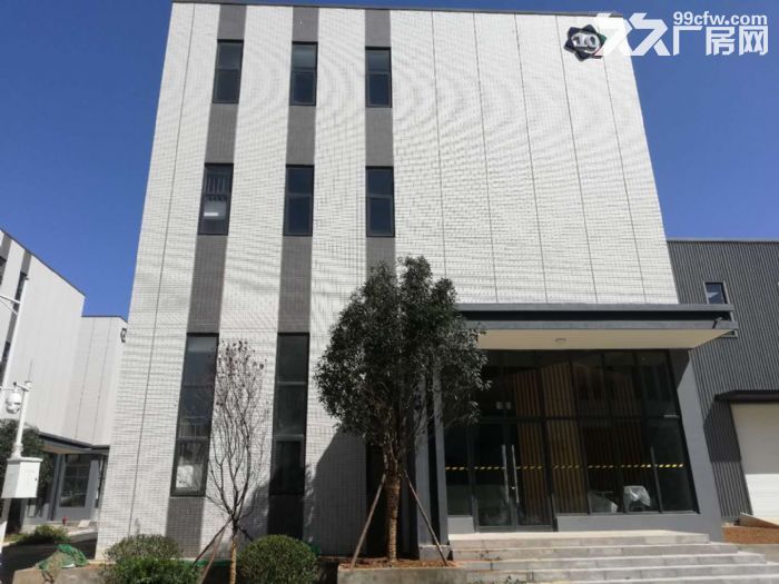 出售新津框架结构厂房，独门独院 - 5
