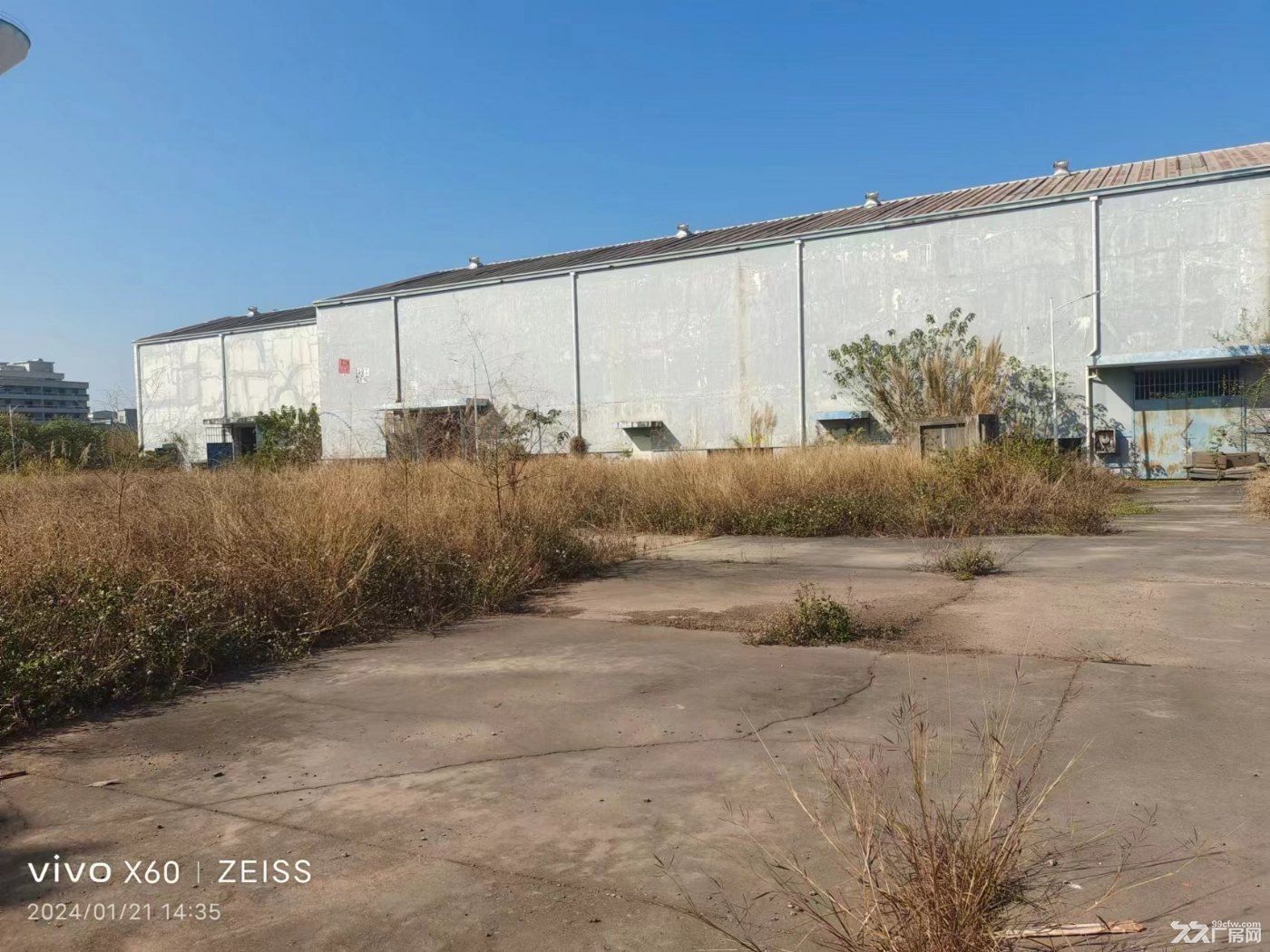汝湖标准单一层厂房1200多平方仓库招租 - 3