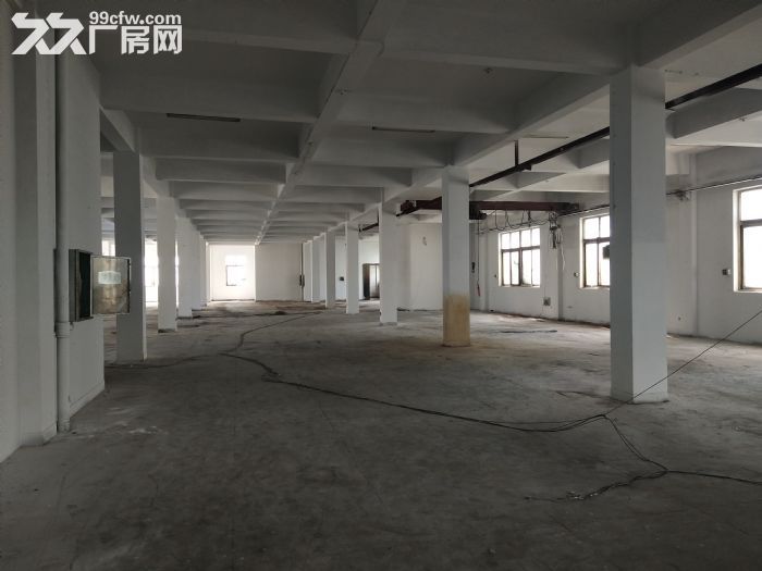 梧田炬光园2楼1000平方，层高4米，可用 - 2