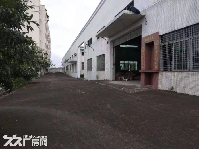 江门新会独院工业园钢构厂房仓库出租3000平方