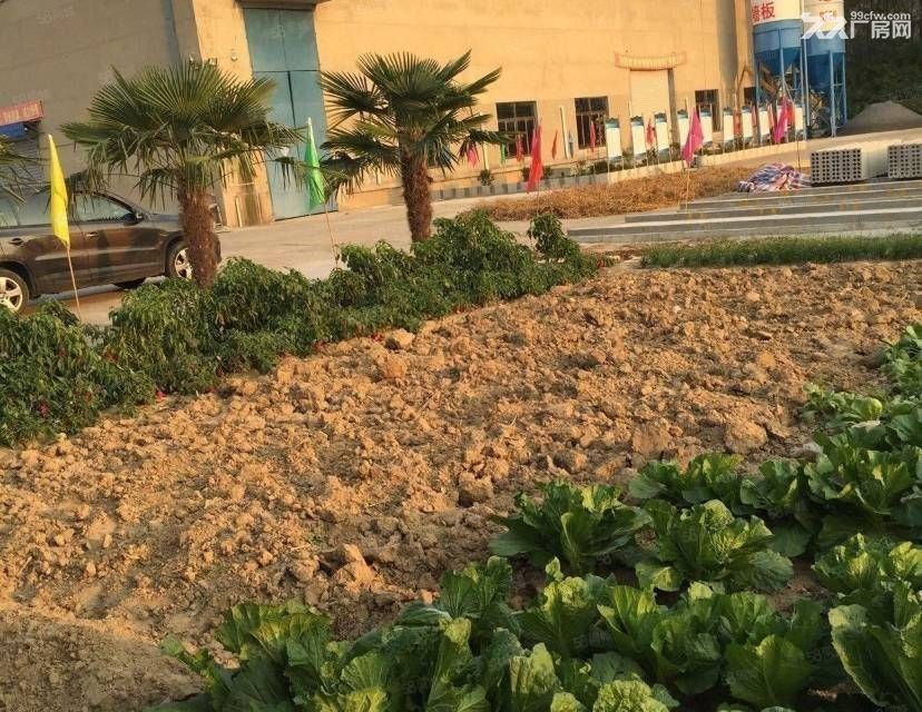 新坍胜利桥砖混厂房3000平 交通便利 - 4