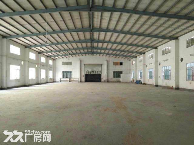 增城新塘新出原房东独院单一层厂房1200平，空地1000，宿舍300 - 3