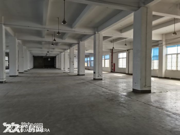 嘉兴高照街道加创路3900平米标准厂房出租 - 5