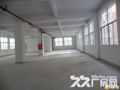 个人.秣陵1到3楼4500平米新建独栋厂房 - 3