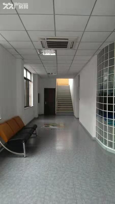 新桥闵申路新飞路104地块房东直租 - 4
