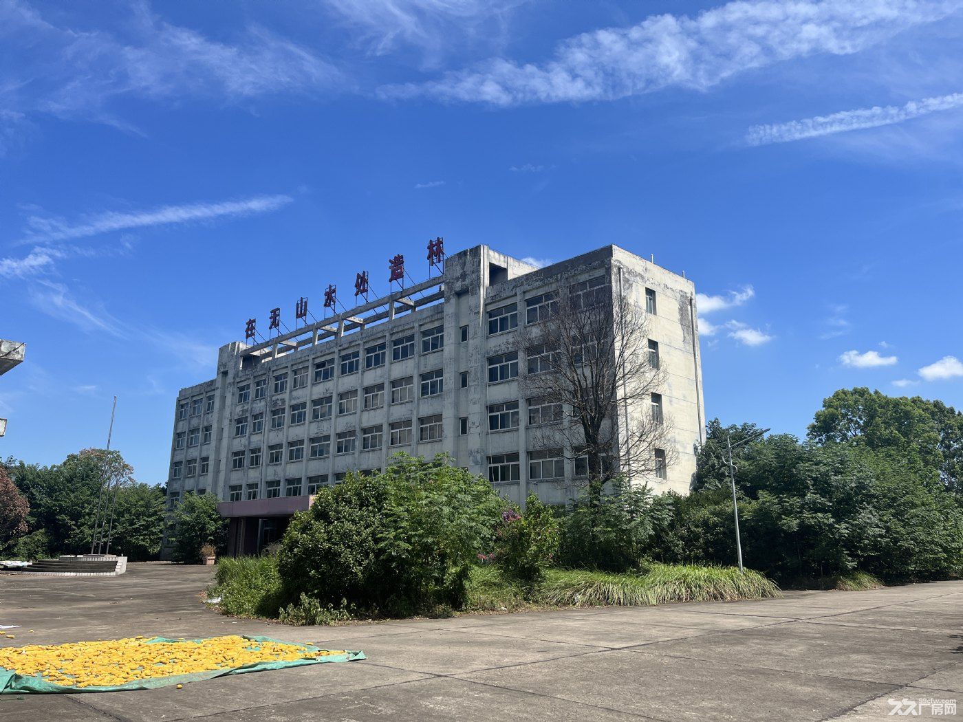 出售荆州市公安县青吉工业园厂房土地 - 8