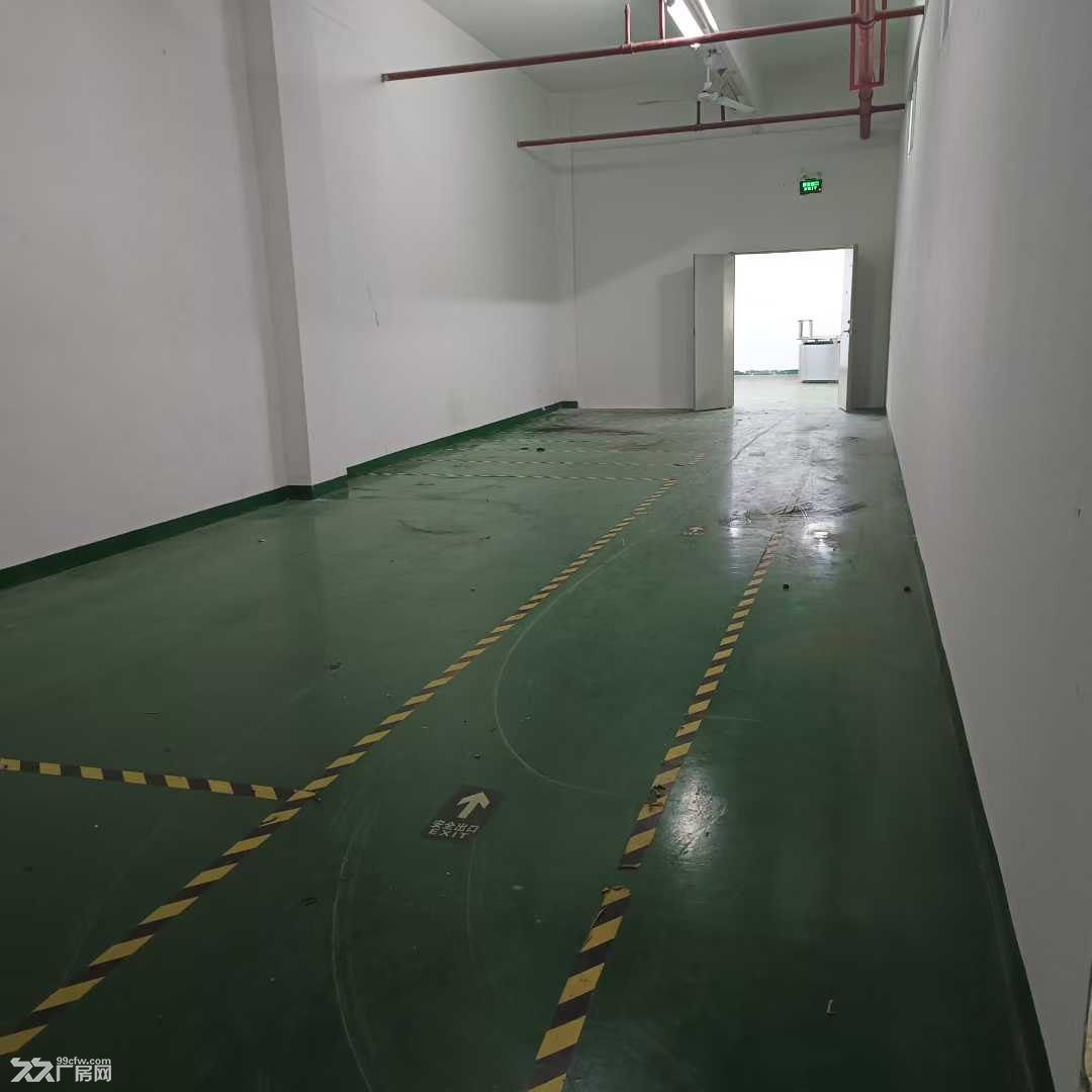 深圳龙华科技园精装修厂房800平米出租 - 7