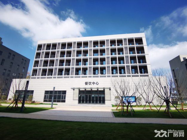 买600方赠200方 上市国企开发优质产业园区 创新分层厂房最后一席等你来抢 - 3