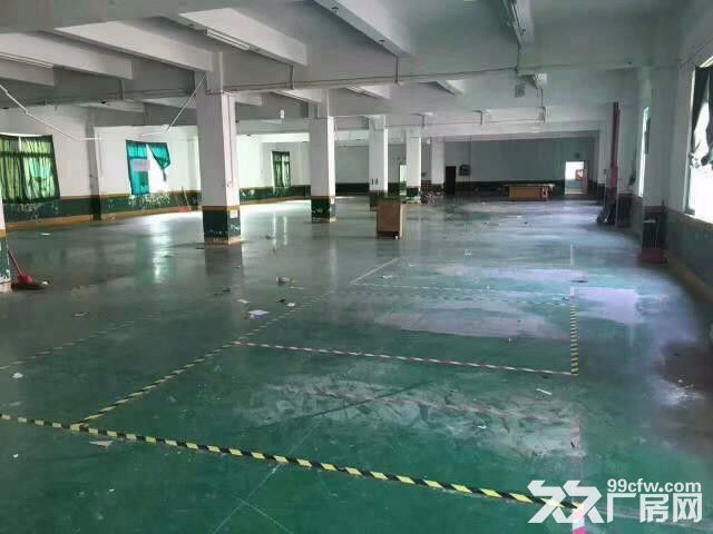 龙岗区南联原房东无公摊厂房2000平米招租可分租 - 2