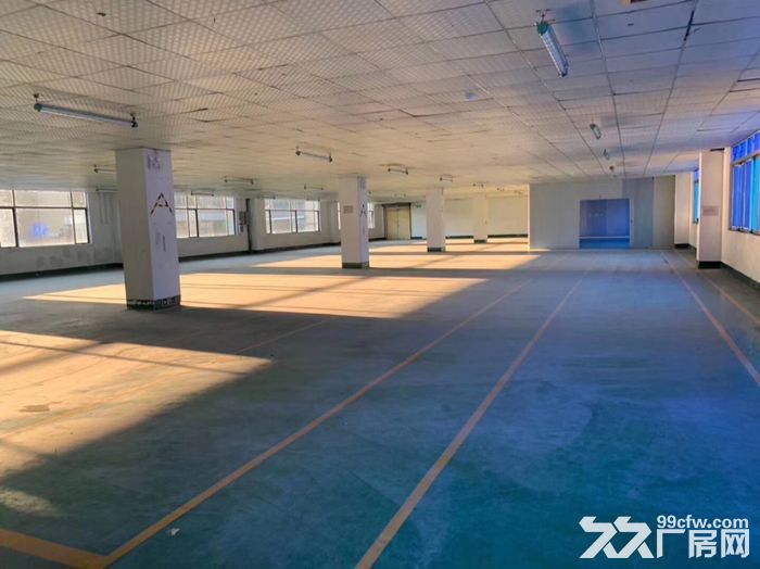沙井高速出口附近楼上精装厂房1500平,原房东,空地大,地坪漆 - 3