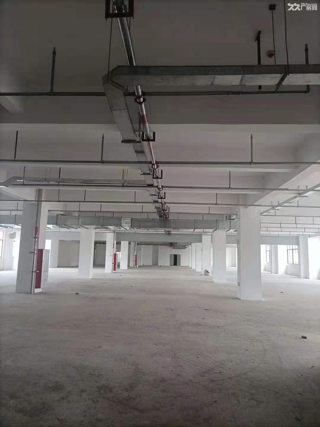惠城区下角原房东厂房出租