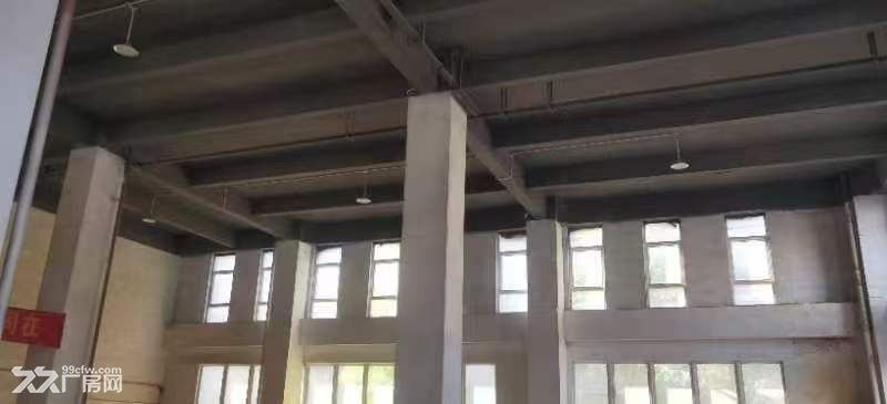 乌衣工业园园区独栋厂房出售 - 3