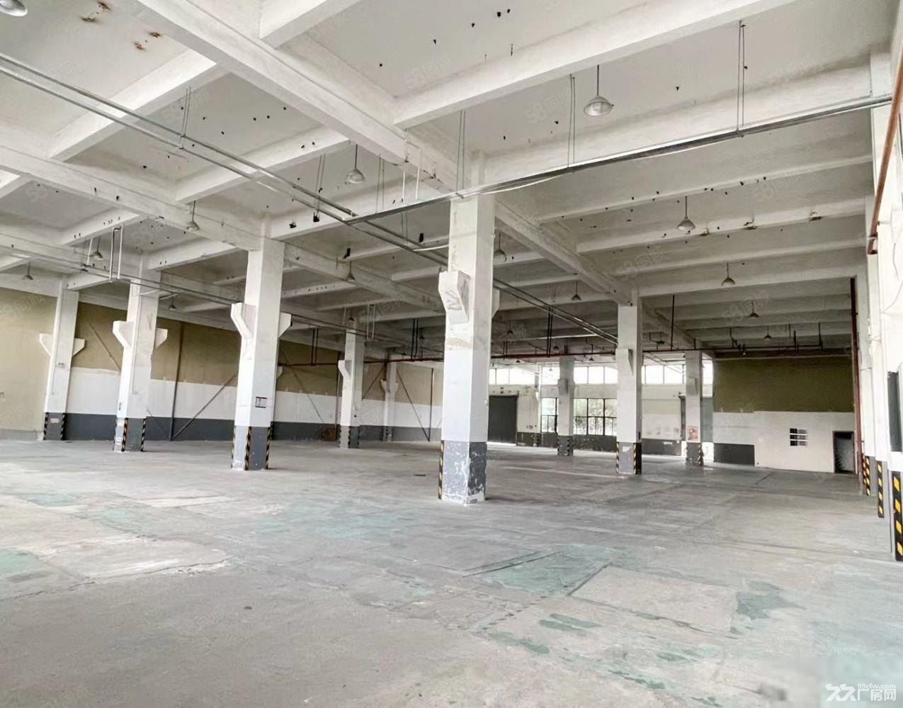 康桥秀沿路独门独院1万平米多层厂房出租,可分割加工,汽修仓储 - 2