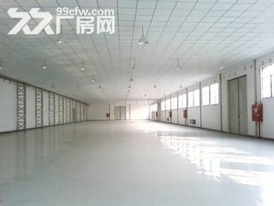 个人.众彩对面三楼500−−−−3000平米仓库出粗 - 6