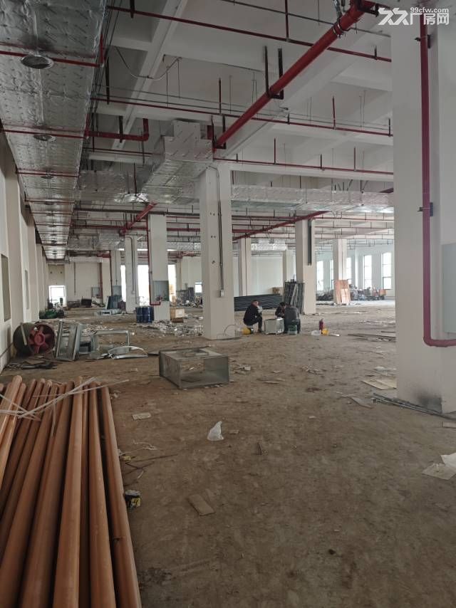 成都龙泉经开区全新厂房出售,独立产权,欢迎企业家实地考察 - 3