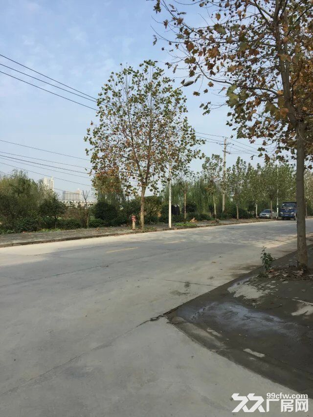 汉阳黄金口三环线旁大型厂房一层钢构、仓库出租 - 3
